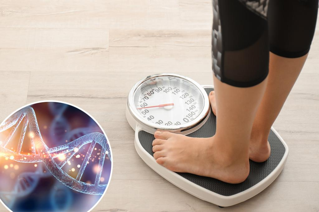 基因型减肥：DNA如何影响你的减肥效果