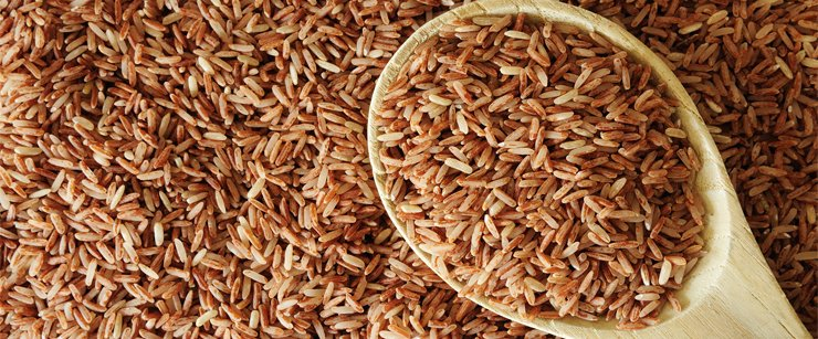 普通米饭vs糙米饭，血糖控制差多少？