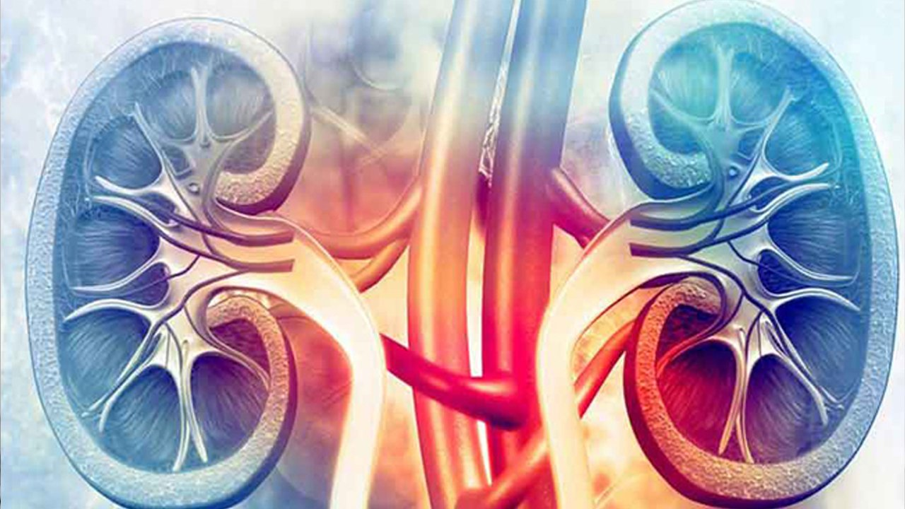 肾病综合征的临床表现与症状