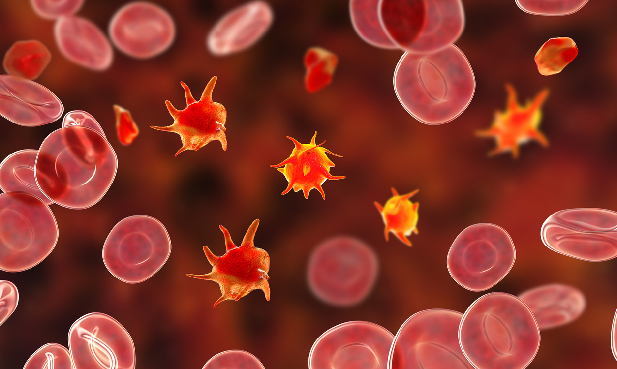 稳住血小板：血小板减少症全流程营养干预与生活管理指南