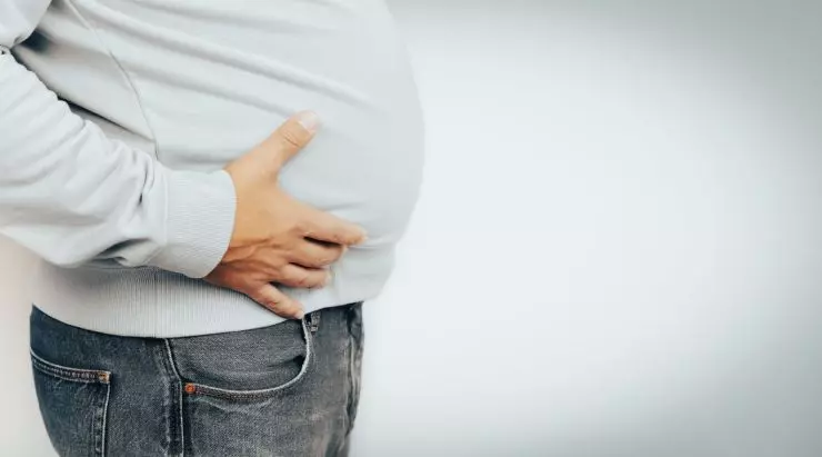 代谢综合征的治疗性饮食影响