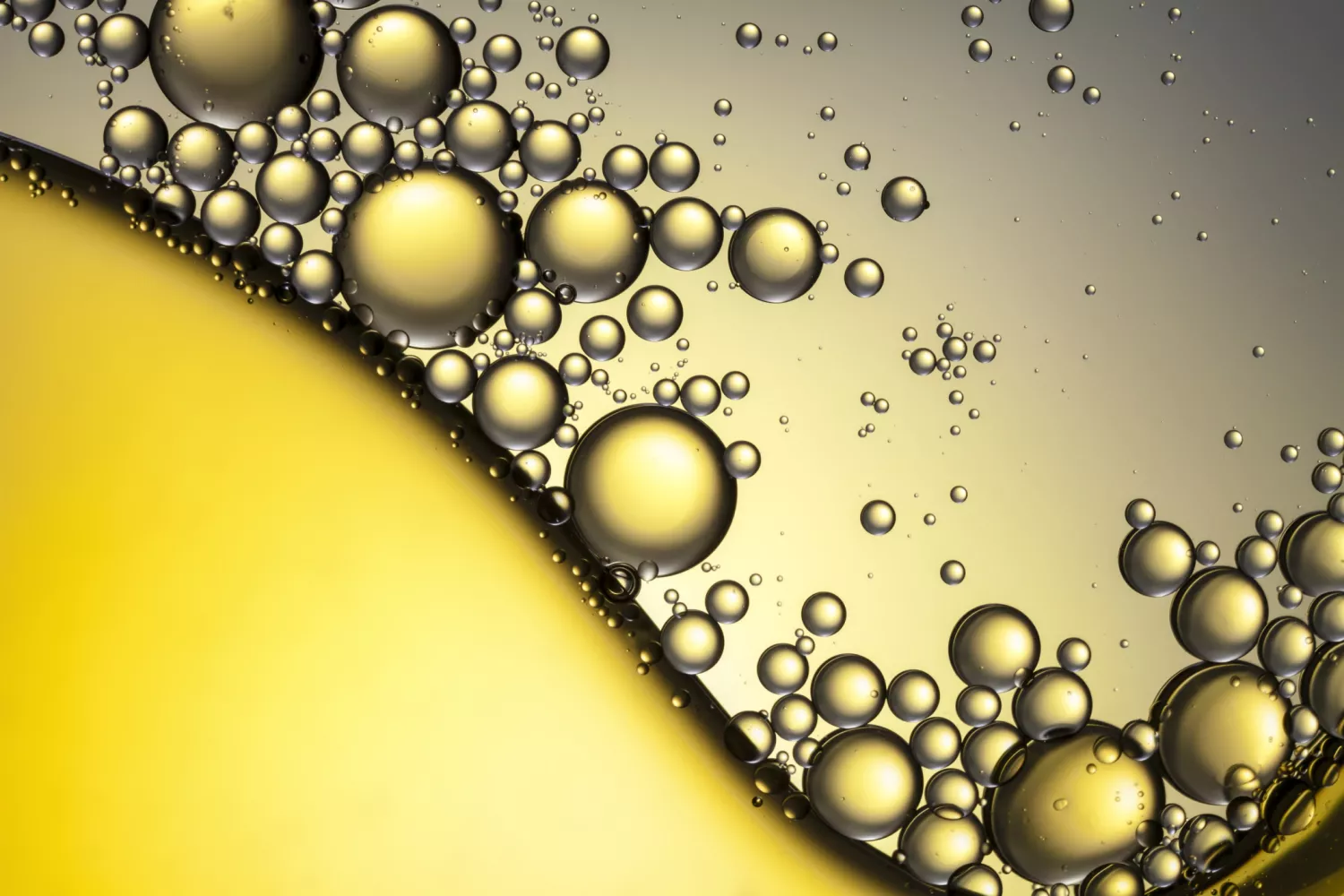 别让体检单上的“油”毁了你！深度解读脂质的5大功能与控脂攻略