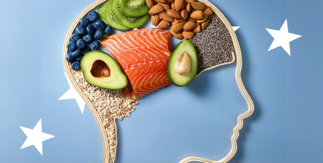 高阶大脑进化(1)：大脑的“燃料革命”：为什么酮体是比葡萄糖更稳定的脑力能源？