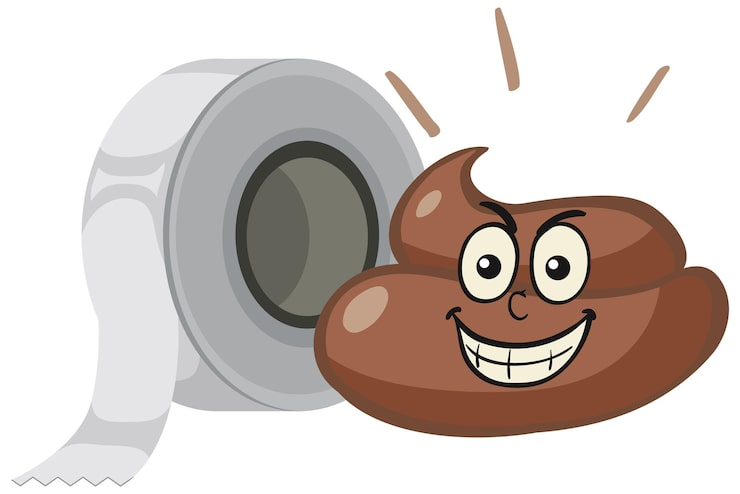 看“香蕉”知健康：布里斯托大便分类法教你解读肠道免疫力