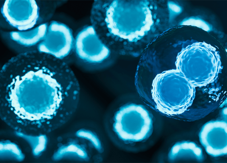 干细胞治疗适用人群与禁忌症