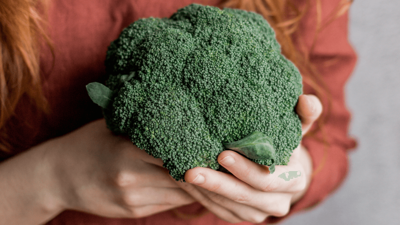 失衡的“红颜”：2026 雌激素占优势全书——为什么现代环境让我们“过度女性化”？