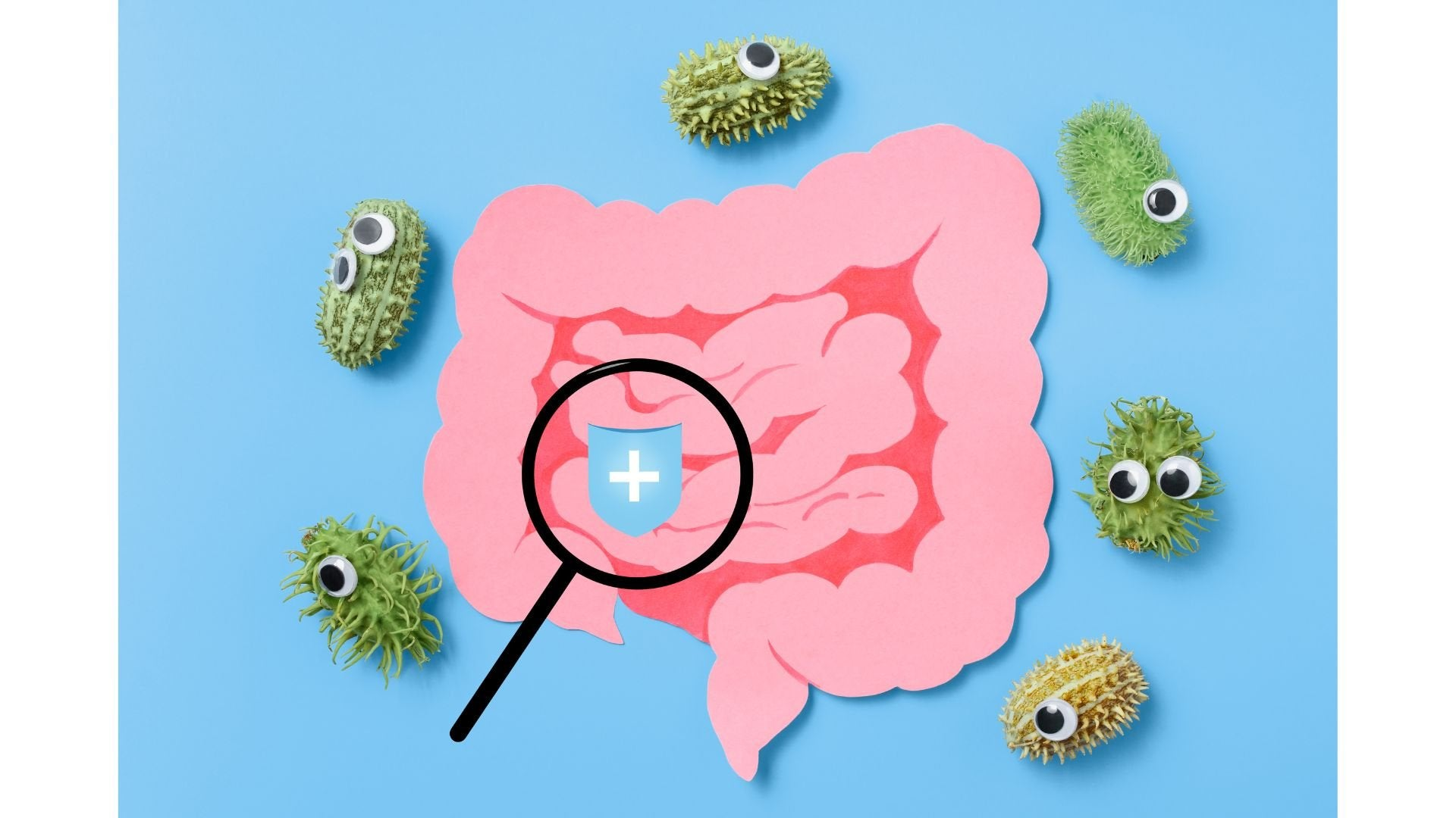 小儿肠道与免疫力：决定孩子一生的“菌群种子”