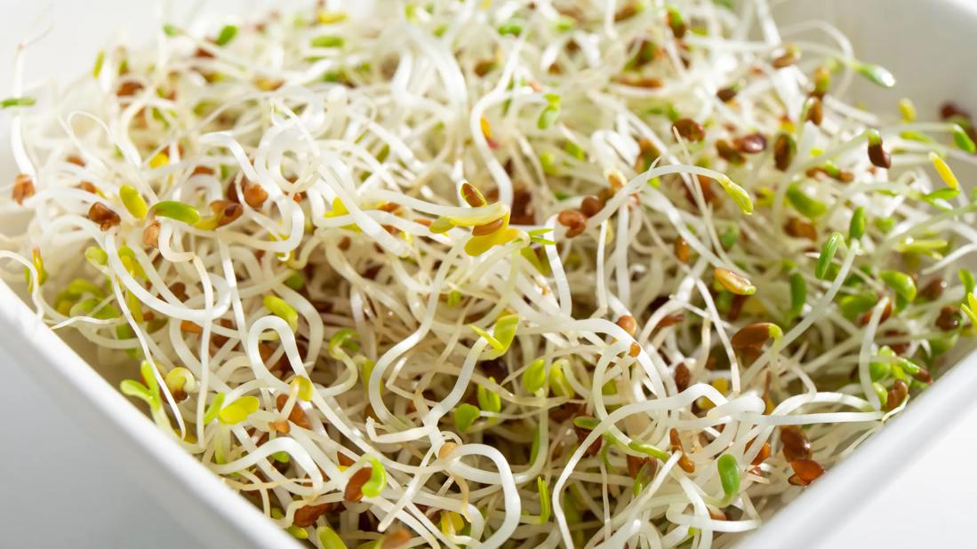 餐桌上的“绿衣小精灵”：苜蓿芽虽鲜美，吃前得看“说明书”