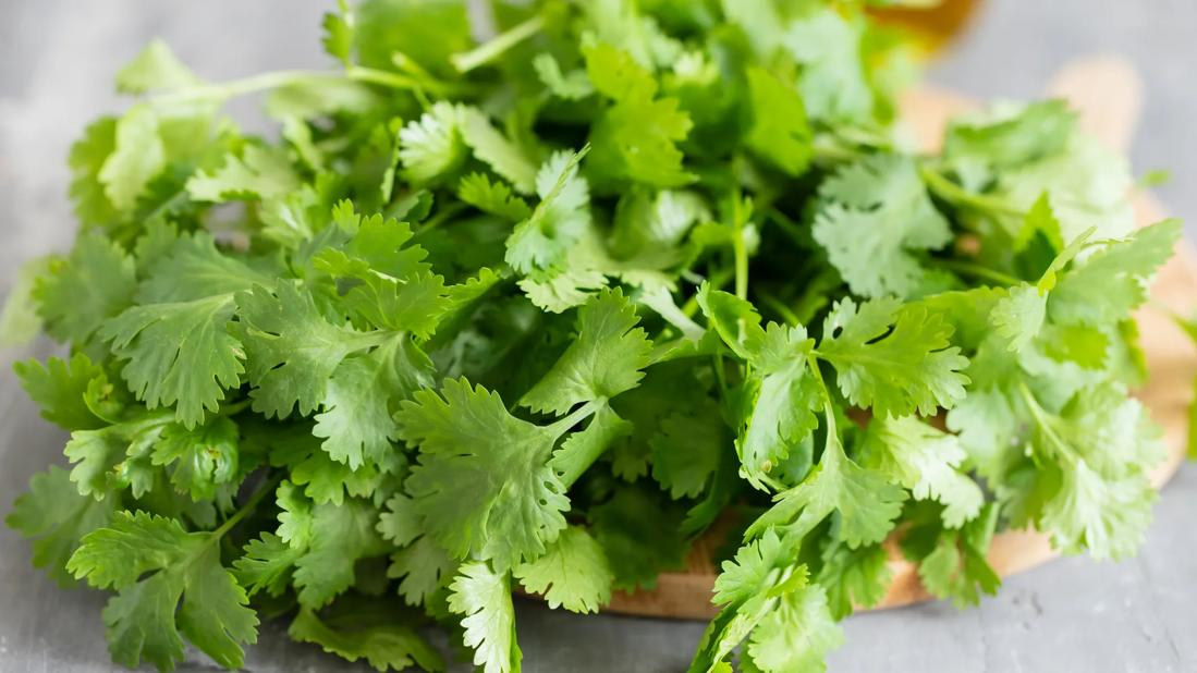 这棵常被当成“配角”的香菜，其实是血管的“减压阀”和大脑的“防火墙”